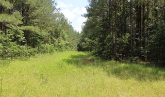 0000 Highway 550 NW, Brookhaven, MS 39601