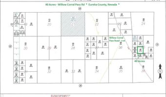 40 Acres Willow Corral Pass Rd, Crescent Valley, NV 89821