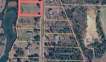 202 Thornberry Pl, Ashford, AL 36312