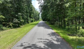 Wilcox Street SE, Attalla, AL 35954