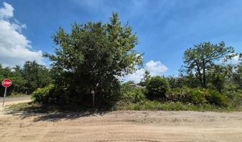 3040 W HASBROUCK Rd, Avon Park, FL 33825