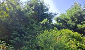 0 COUNTY ROUTE 41, Afton, NY 13730