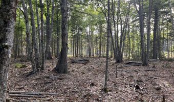Bluff Road lot 5, Bar Harbor, ME 04609