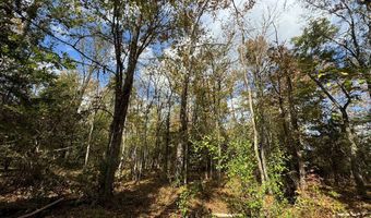 02 Seneca St Ext, Calhoun Falls, SC 29628