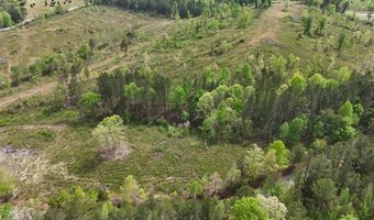Eldridge Road lot 7, Birchwood, TN 37308