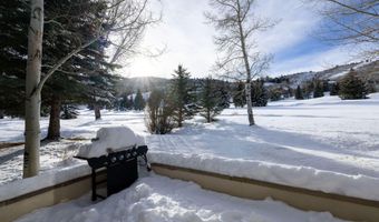 225 N Fairway Dr, Beaver Creek, CO 81620