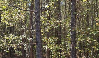 7501 Rainey Morris Rd, Appling, GA 30802