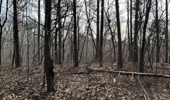 Highway 105, Baldwin, GA 30511