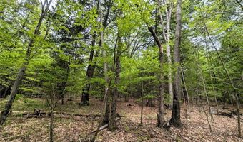 Stewart Road, Addison, NY 14801