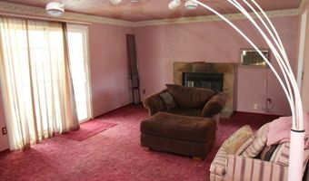 180 Roughing It Rd, Dayton, NV 89403