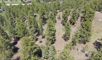 Mockingbird Trail, Bailey, CO 80421