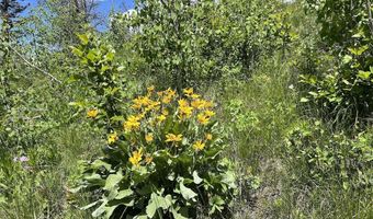 Tbd Nwne DEER HAVEN Road, Bondurant, WY 82922