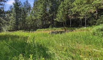 Spiritwood Ln, Bellvue, CO 80512