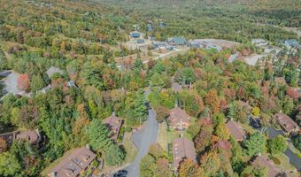 30 Forest Ln 19, Carroll, NH 03575