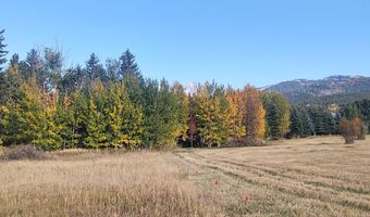 445 TARGHEE TOWNE Rd, Alta, WY 83414