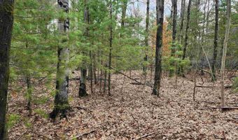 N Forest Lake Drive, Alger, MI 48610