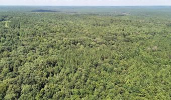 Pleasant Hill Road, Ashland, MS 38603