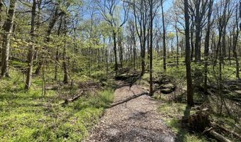 10515 Paw Paw Springs Rd, Arrington, TN 37014