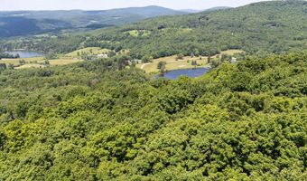 Timberland Drive, Andes, NY 13731