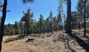 10 County Road 2193, Alpine, AZ 85920