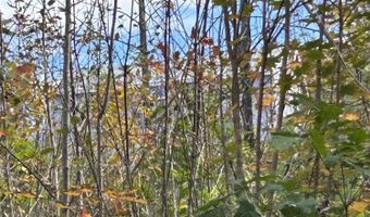 11 Penny Ln, Parsonsfield, ME 04047