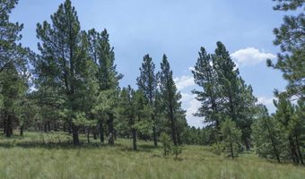 9 Buckskin Rd, Angel Fire, NM 87710