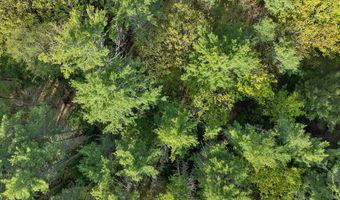 Province Road lot 26, Belmont, NH 03220