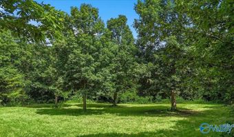 Unit # 0 Murphree Valley Road, Altoona, AL 35952