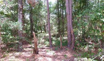1768 N Riverdale Rd, Avon Park, FL 33825