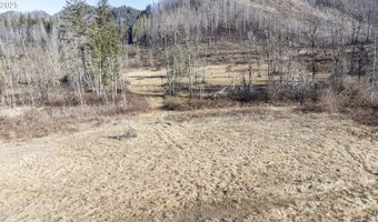 91737 BLUE RIVER RESERVOIR Rd, Blue River, OR 97413