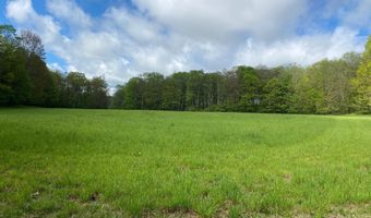 220 DIESEL SCHOOL Rd, Accident, MD 21520