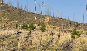 Pine Acres Rd, Bellvue, CO 80512