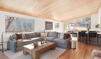 120 Turtle Cv, Aspen, CO 81611