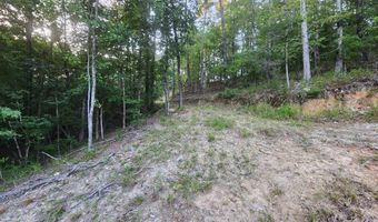 Lot 7 Oversprings Drive, Alexander, AR 72002