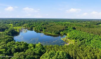 425 Rose Hill Rd, Bentonia, MS 39040
