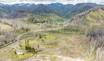 91747 BLUE RIVER RESERVOIR Rd, Blue River, OR 97413