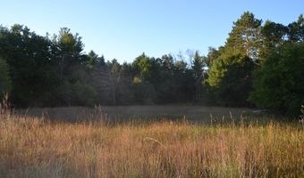 38 S Eugene Dr, Roscommon, MI 48653