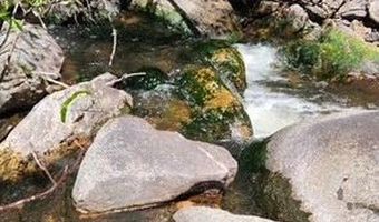 Spiritwood Ln, Bellvue, CO 80512