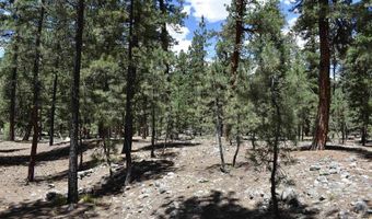 80 Ranch Rd, Bayfield, CO 81122