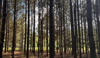 570 Bethany Church Rd, Bainbridge, GA 39817