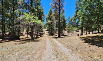 211 Mogul Rd, Alto, NM 88312