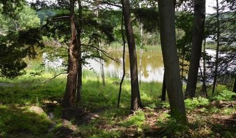 S Forest Lake, Alger, MI 48610