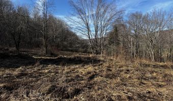 1361 Weaver Hollow Rd, Andes, NY 13731