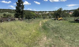 132 E Cedar Road Rd, Capitan, NM 88316