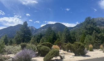 233 Sierra Country Cir, Gardnerville, NV 89460