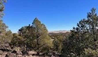 N8689 lot 002P, Concho, AZ 85924