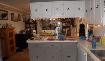 265 Rocky Springs Rd, Bean Station, TN 37708
