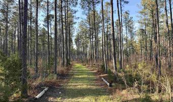 Highway 28, Abbeville, SC 29620