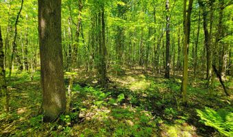 310 Sky Farm Ln, Barnet, VT 05821