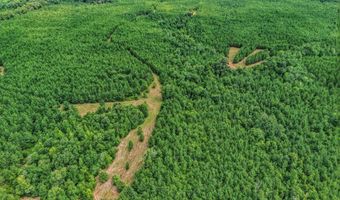 Harry Priddy Road, Americus, GA 31719